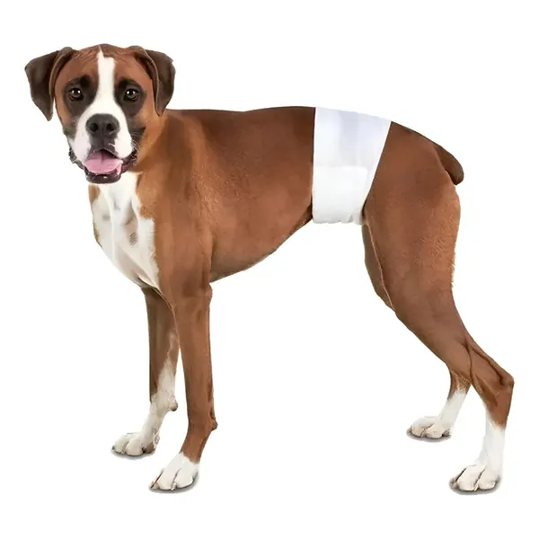 24 Pañales Perros Macho Pañal Para Gato - Norplat Blanco S en oferta en Mercado Libre Chile